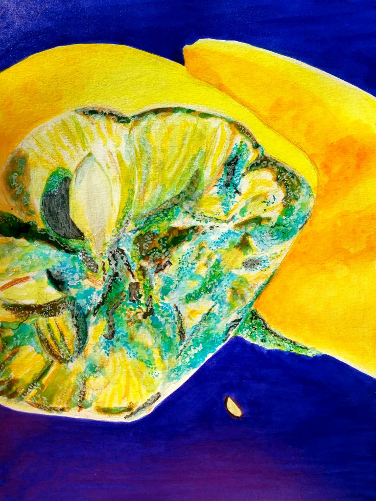 Vanité, dessin d'un citron en moisissure