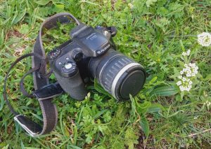 Photographie de présentation d'articles sur l'art.