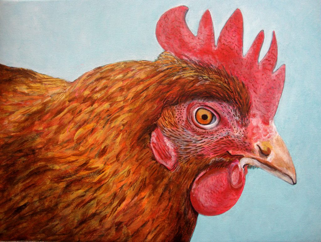 Portrait d'une poule rousse, vue de profil