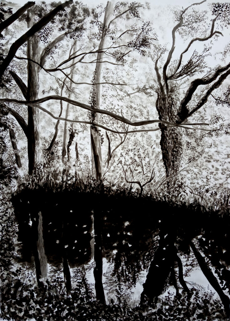 Paysage sous-bois et mare, à l'encre de Chine