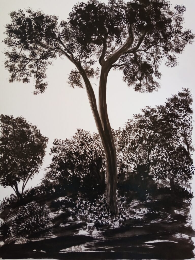 Paysage à l'encre de Chine