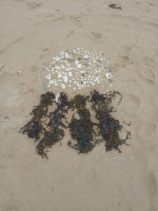 Land art plage du nau au Pouliguen