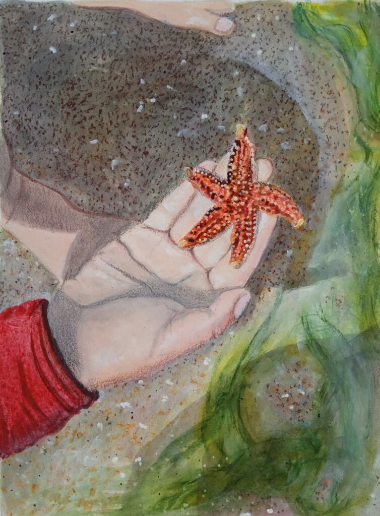 Peinture étoile de mer dans main d'enfant