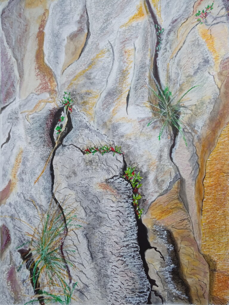 Peinture de rochers et végétation dans la série "Résistance"