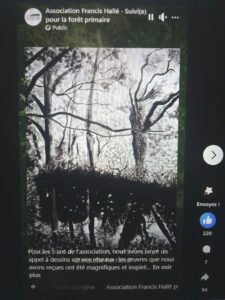 Capture d'écran dessin sélectionné pour association forêt primaire Francis Hallé
