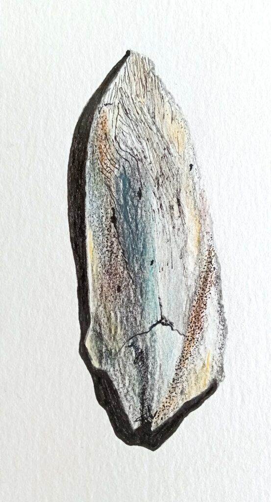 Dessin d'os de seiche, inspiré d'éléments de la plage sainte-Marguerite de Pornichet. Côte Atlantique.