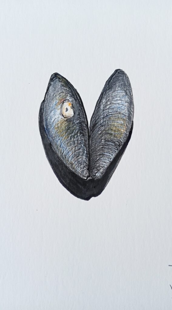 Dessin d'une série réalisée pendant l'expo à la Chapelle Sainte-Marguerite de Pornichet, sur la Côte Atlantique.