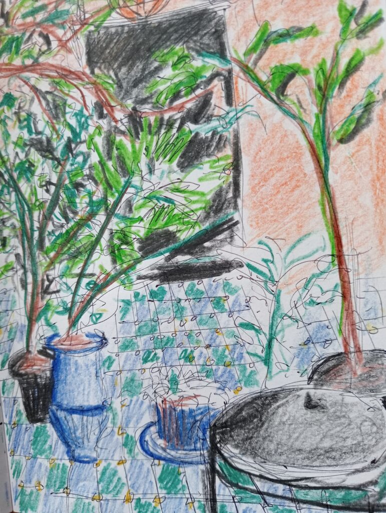 Croquis jardine de riad - Fès 2025
