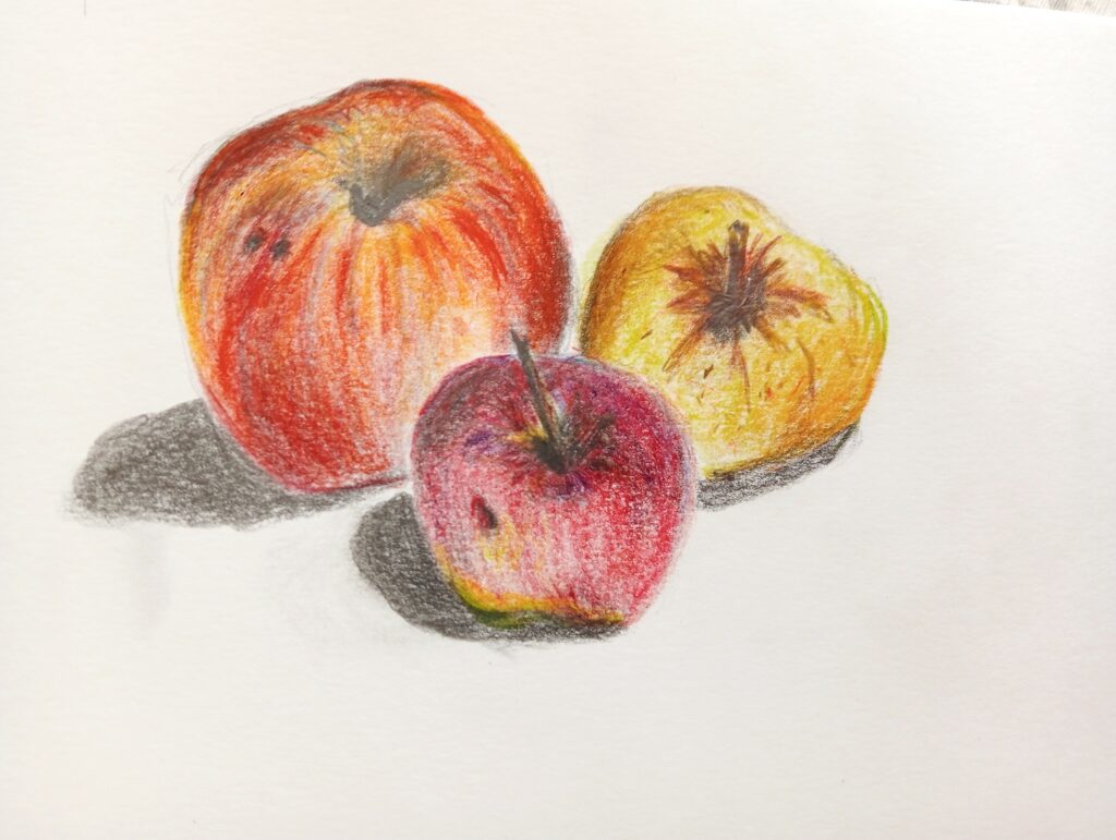 Dessin de nature morte