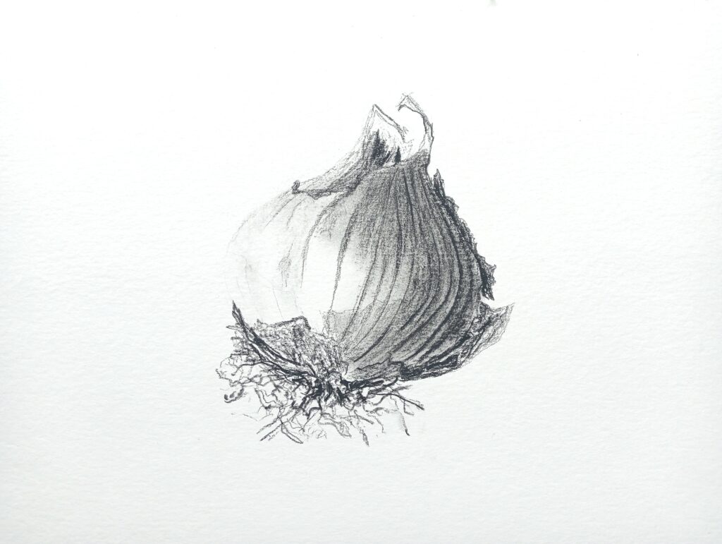 Dessin d'aïl au fusain